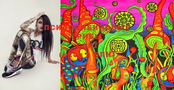 винт Шадринск