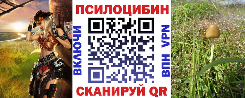 Купить  Пучеж  Галлюциногенные грибы Magic Shrooms 