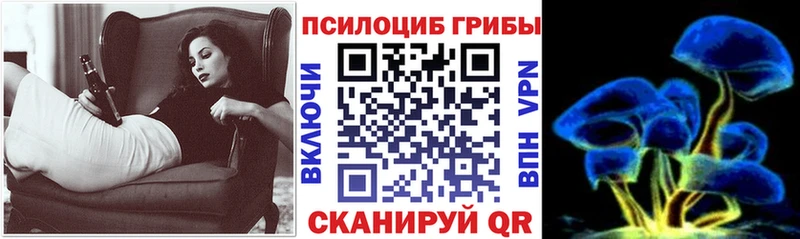 Псилоцибиновые грибы Psilocybine cubensis Пучеж